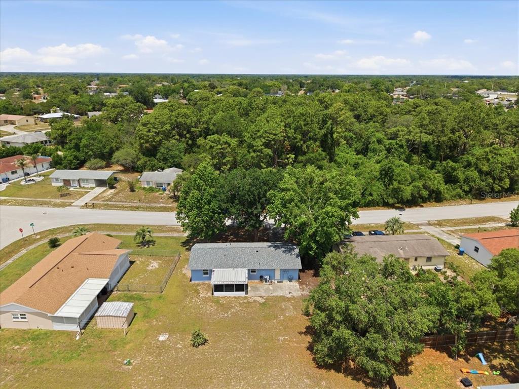 12452 Eddington Road Spring Hill, FL 34609 - Photo 8 of 37