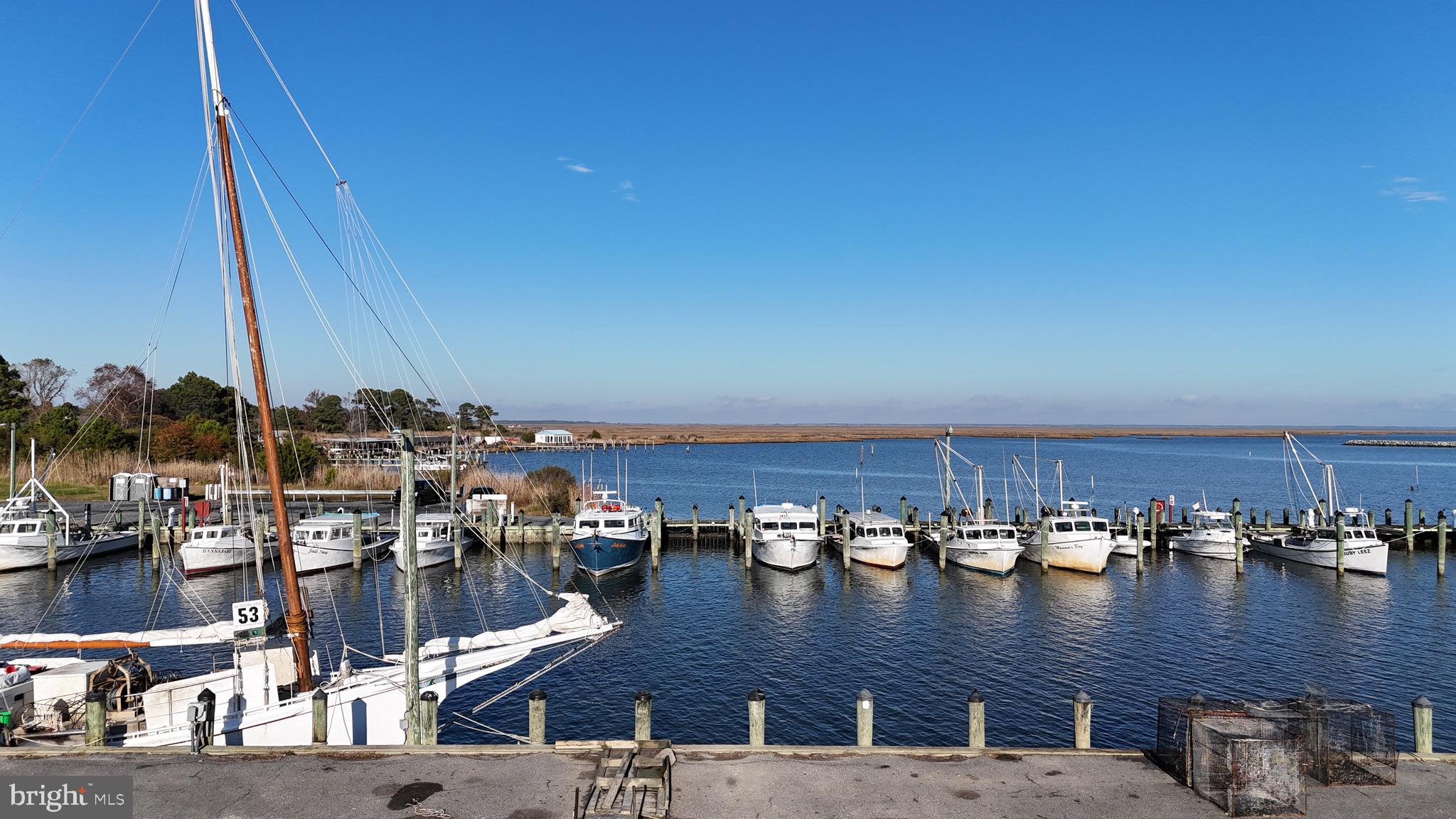23483 Beckett Road Deal Island, MD 21821 - Photo 52 of 58 Wenona Harbor