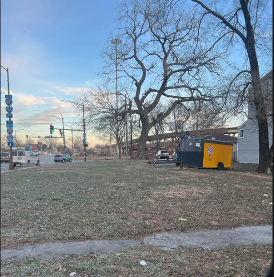 a backyard of a house with a yard and large tree