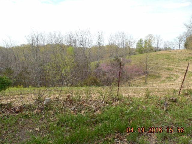 2 Mudlick Road Lawrenceburg, KY 40342 - Photo 3 of 4 Photo 3