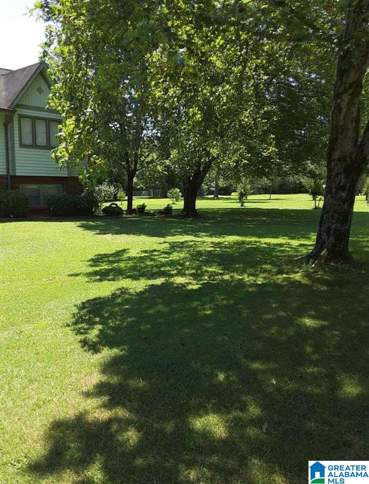 918 Alexandria Road Southwest Jacksonville, AL 36265 - Photo 14 of 23