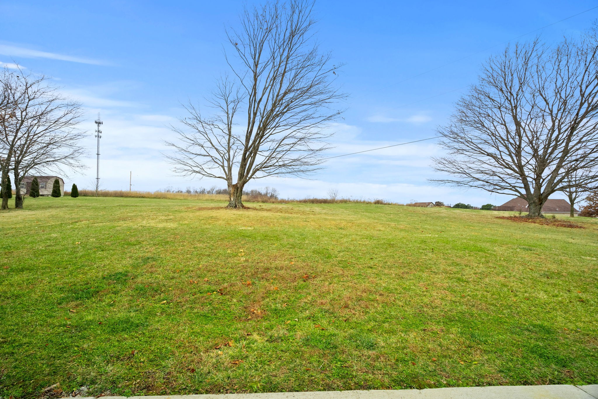 3706 Calista Road White House, TN 37188 - Photo 44 of 55 a view of yard with an outdoor space