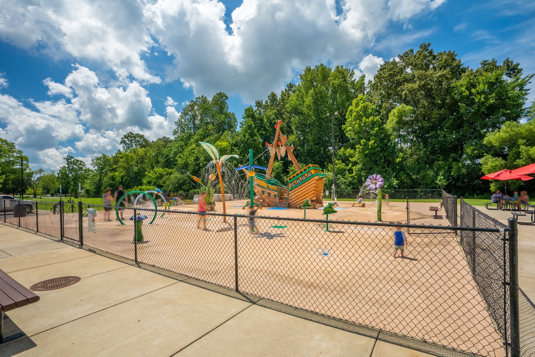 3706 Calista Road White House, TN 37188 - Photo 49 of 55