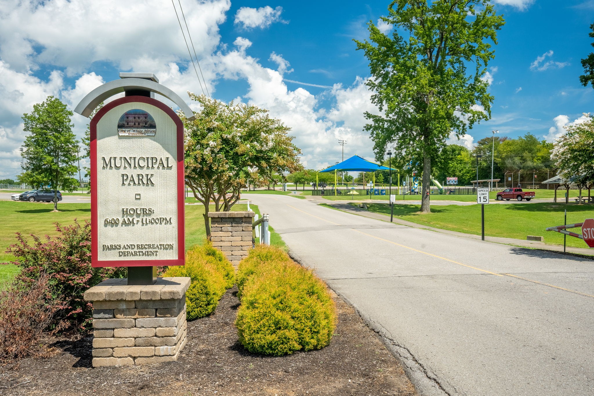 3706 Calista Road White House, TN 37188 - Photo 52 of 55 a view of a park with plants and large trees