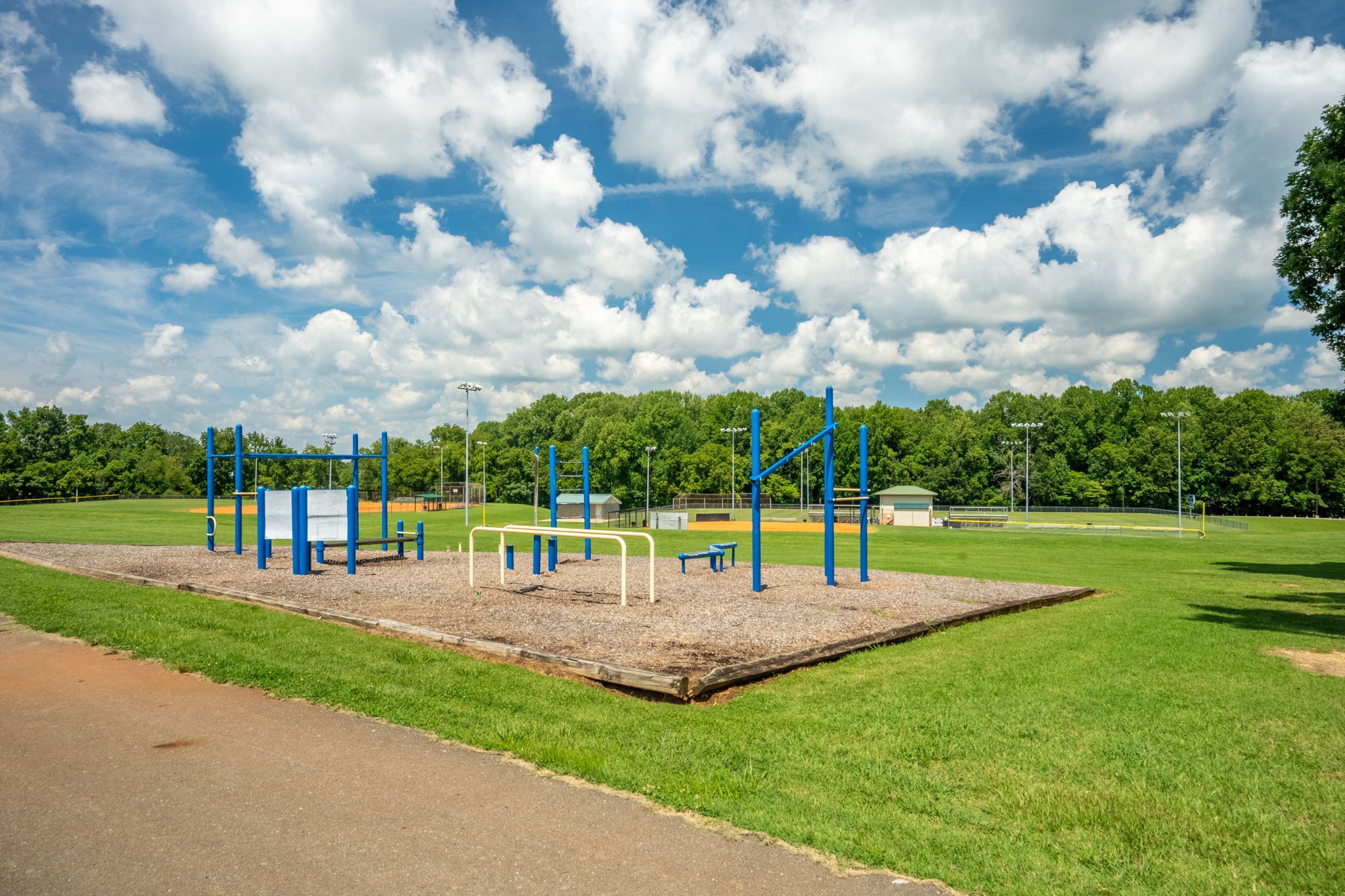 3706 Calista Road White House, TN 37188 - Photo 54 of 55