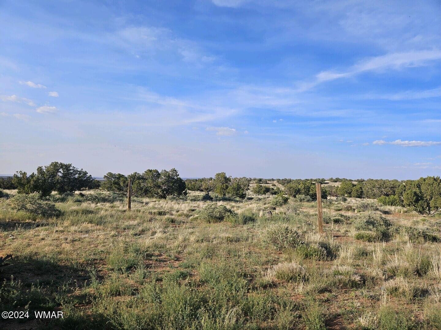 110 County Road Concho, AZ 85924 - Photo 9 of 21 a view of a field with a mountain in the background