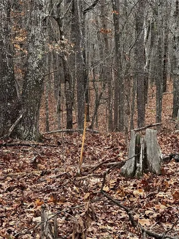 $750,000 | 0 West County Road 224, Greenville, MO 63944