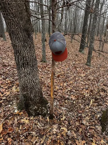 $750,000 | 0 West County Road 224, Greenville, MO 63944