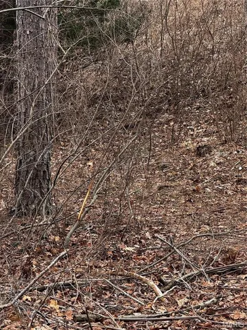 $750,000 | 0 West County Road 224, Greenville, MO 63944