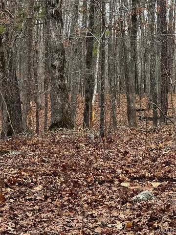 $750,000 | 0 West County Road 224, Greenville, MO 63944