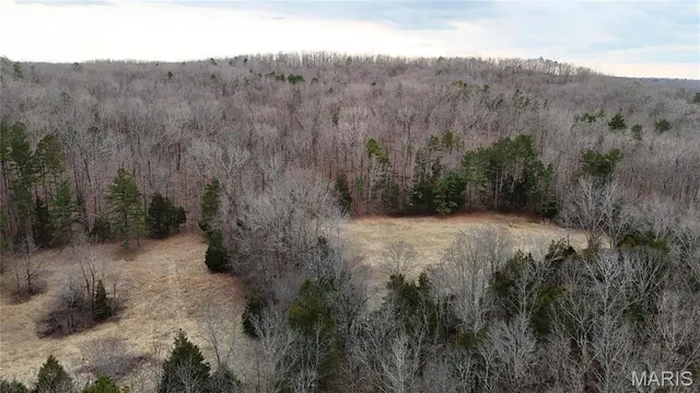 $750,000 | 0 West County Road 224, Greenville, MO 63944