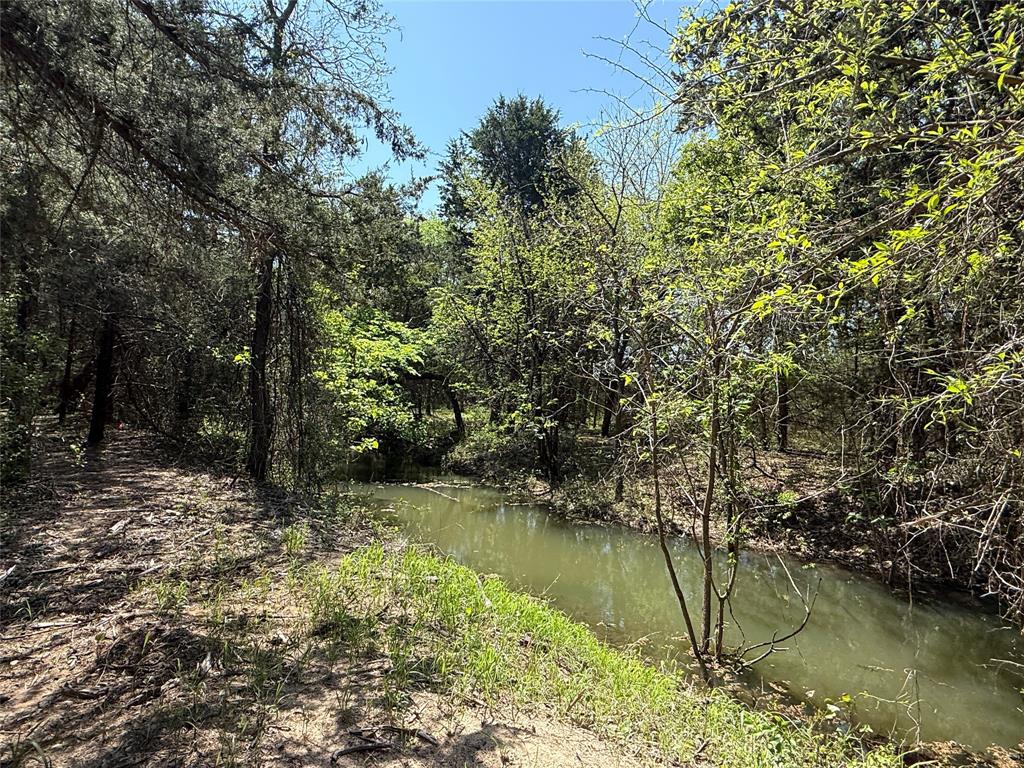 a view of lake with green space
