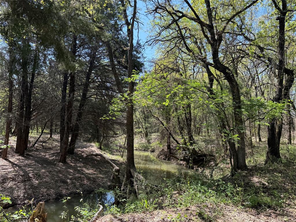 261 Catholic Cemetery Road Montague, TX 76251 - Photo 11 of 40 a view of a forest with trees