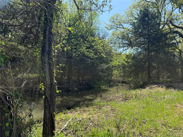 a view of backyard with tree