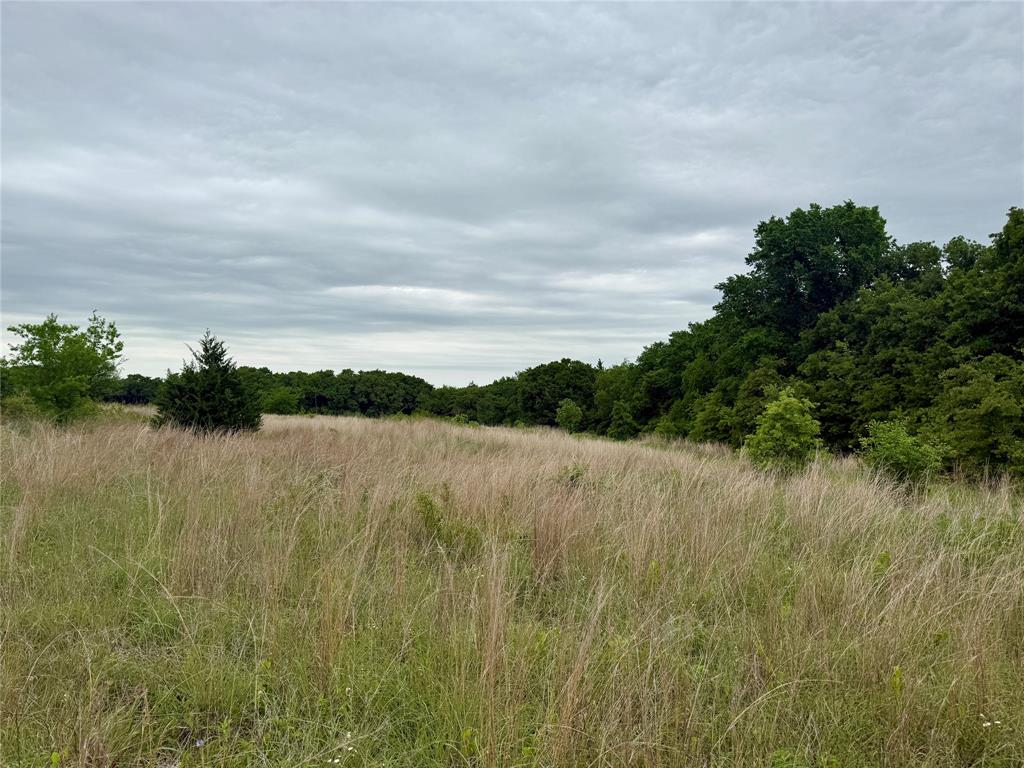 261 Catholic Cemetery Road Montague, TX 76251 - Photo 14 of 39