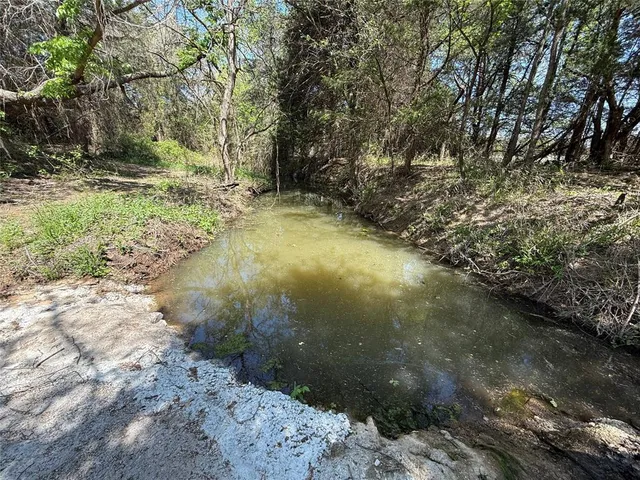 a view of a yard with trees