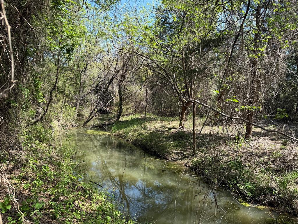 261 Catholic Cemetery Road Montague, TX 76251 - Photo 17 of 40 a view of outdoor space and a yard