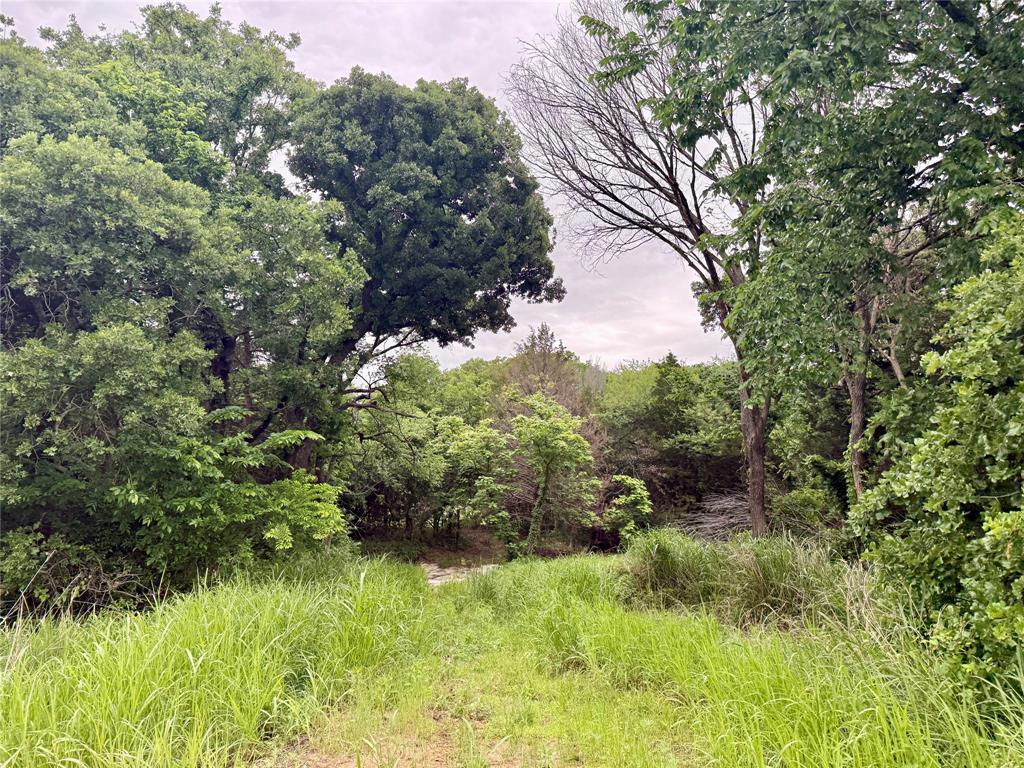 261 Catholic Cemetery Road Montague, TX 76251 - Photo 17 of 39 a backyard of a house with lots of green space and fog