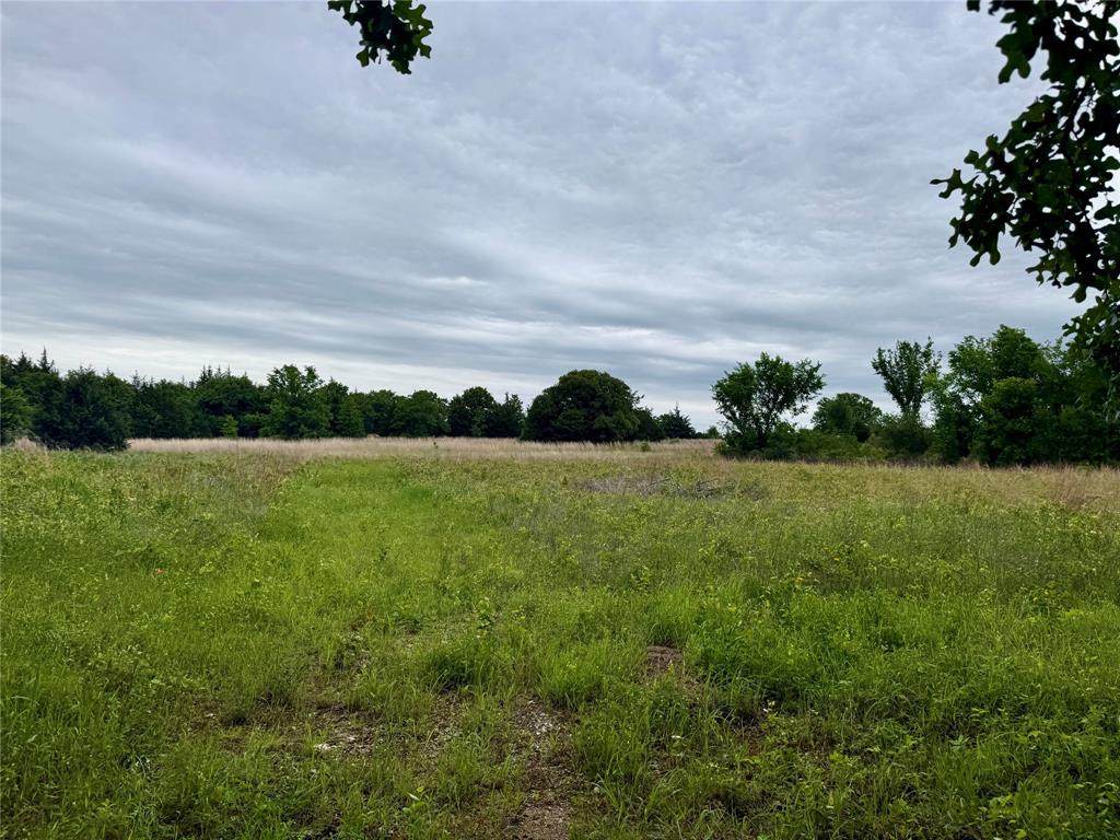 261 Catholic Cemetery Road Montague, TX 76251 - Photo 20 of 39 a view of a garden with an outdoor space and seating area