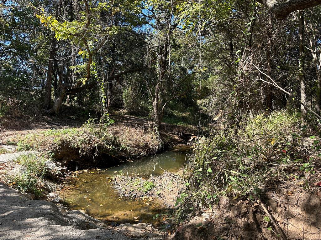 261 Catholic Cemetery Road Montague, TX 76251 - Photo 2 of 40 a view of a lake with large trees