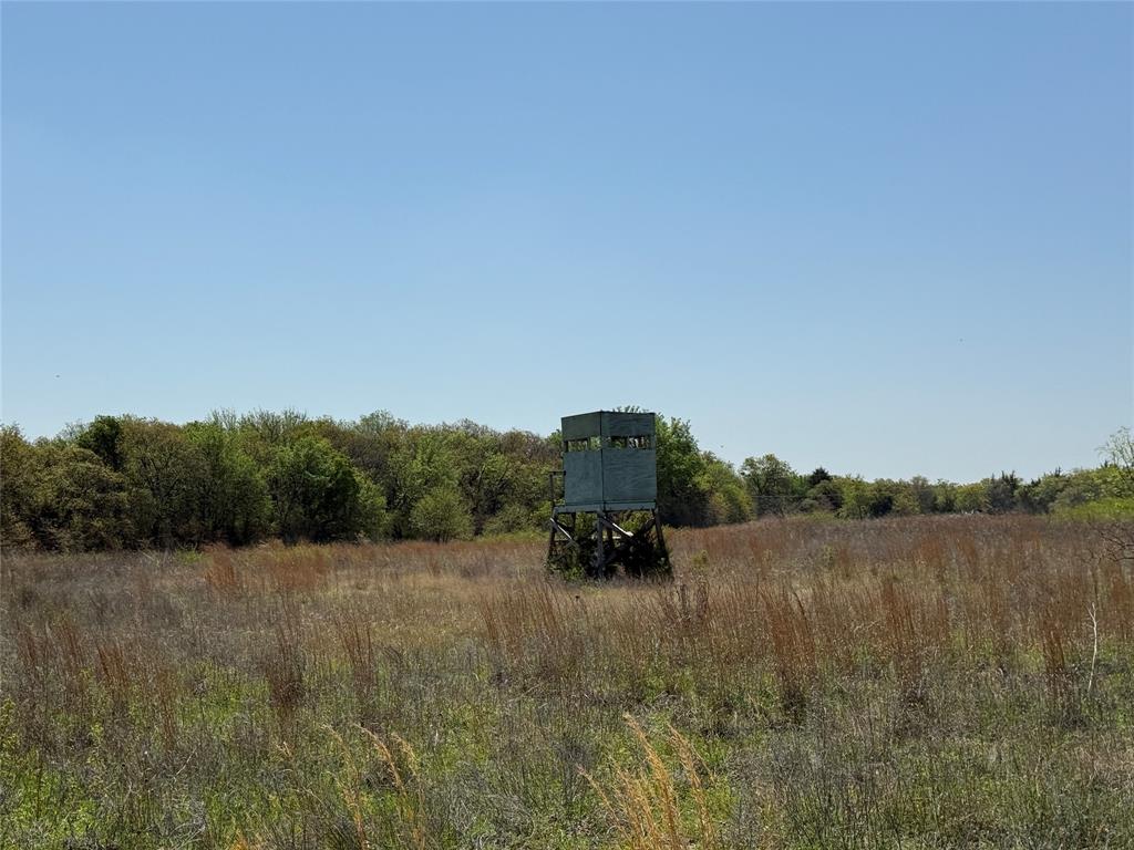 261 Catholic Cemetery Road Montague, TX 76251 - Photo 21 of 40 a backyard of a house with lots of green space