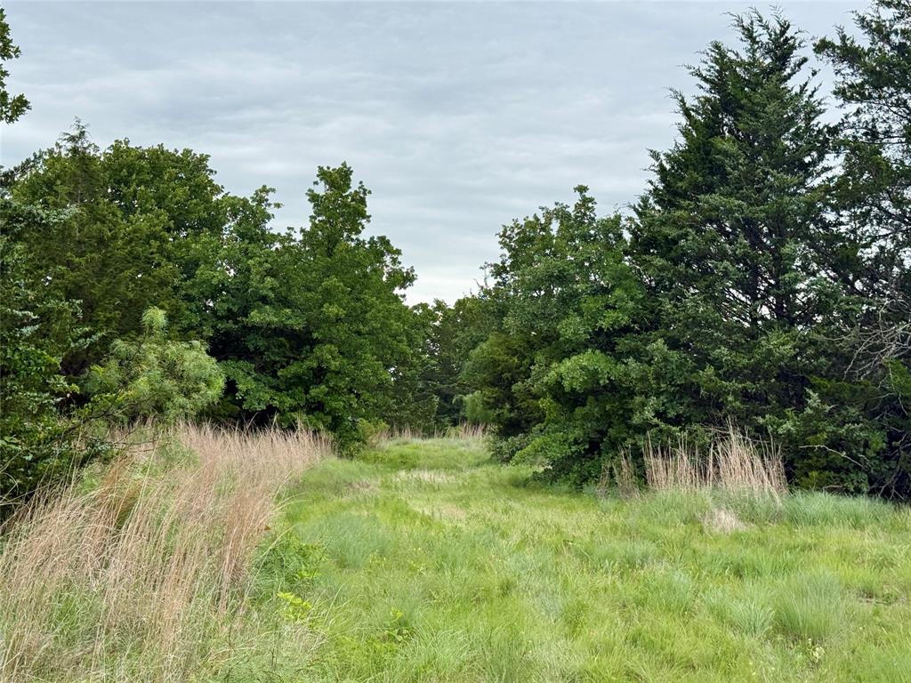 261 Catholic Cemetery Road Montague, TX 76251 - Photo 21 of 39 a view of a garden