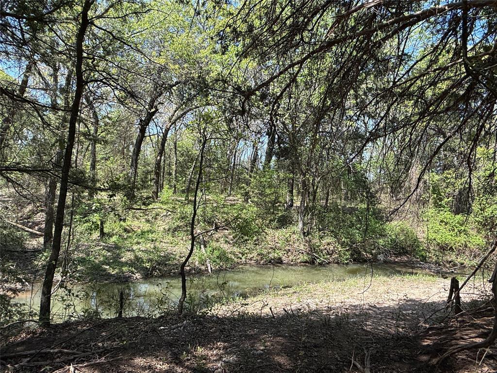 261 Catholic Cemetery Road Montague, TX 76251 - Photo 22 of 40 a backyard of a house with a yard