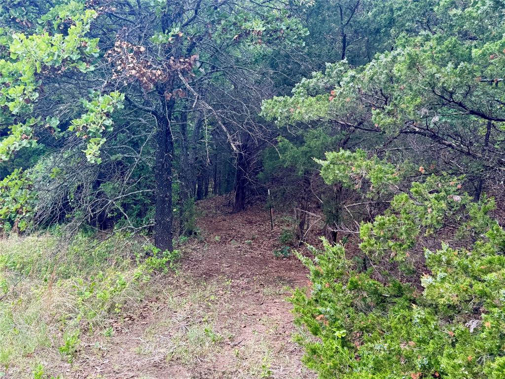 261 Catholic Cemetery Road Montague, TX 76251 - Photo 22 of 39 a view of a garden with a tree