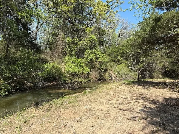 a view of a lake with a tree