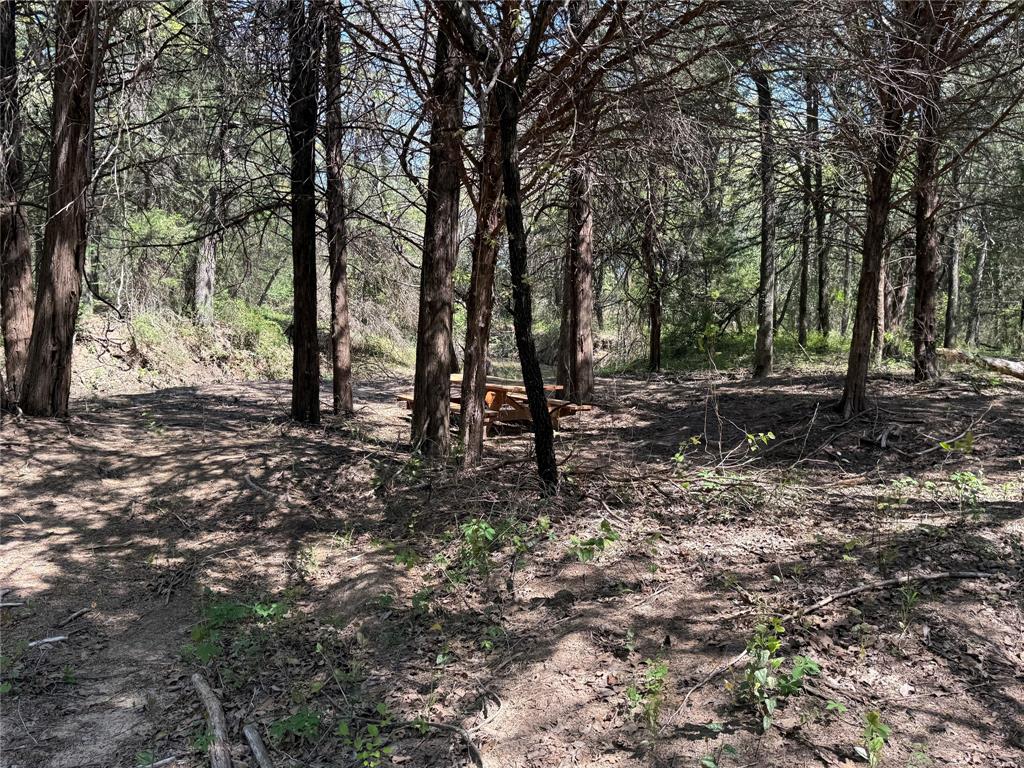 261 Catholic Cemetery Road Montague, TX 76251 - Photo 25 of 40 a view of a forest with trees in the background