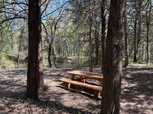 a view of a park with large trees