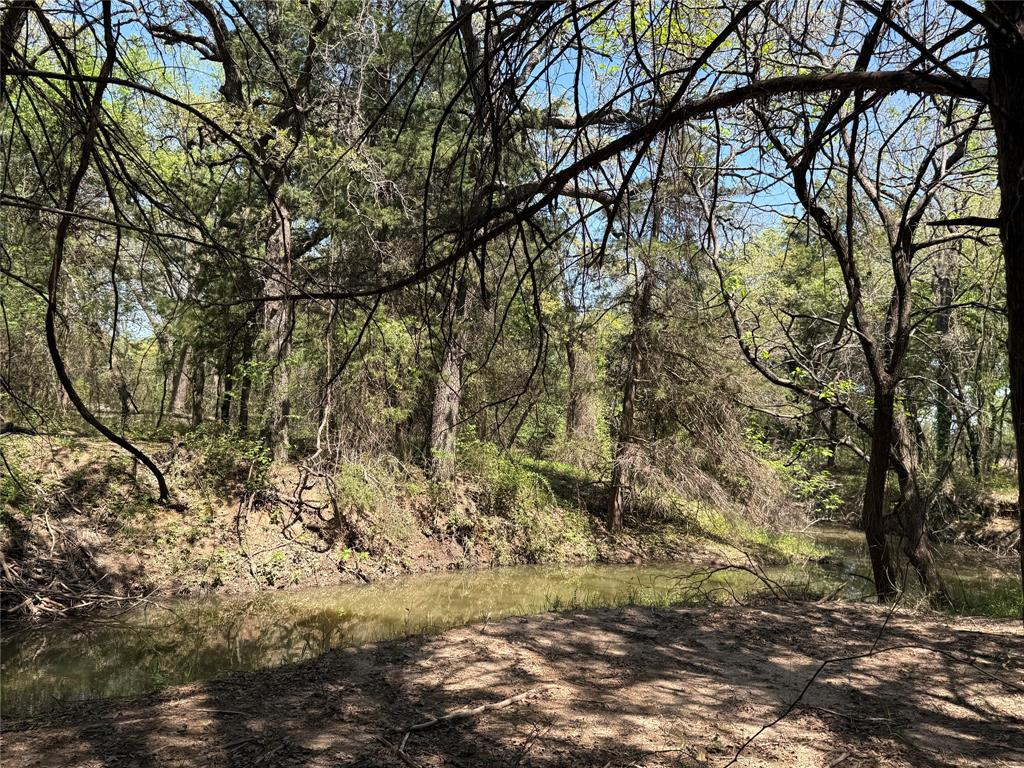 261 Catholic Cemetery Road Montague, TX 76251 - Photo 27 of 40 a view of a yard