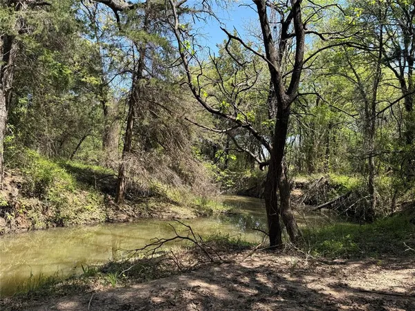 a view of a lake with large trees