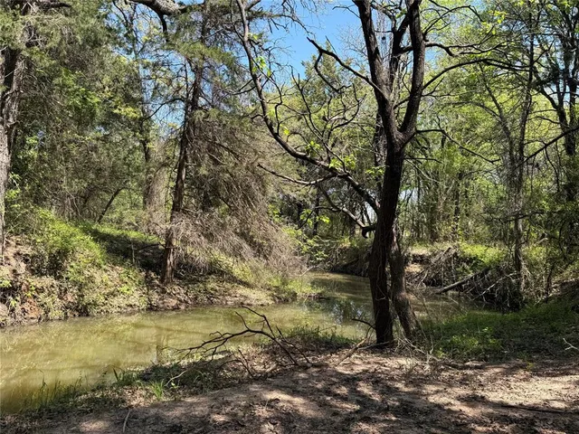 a view of a lake with large trees