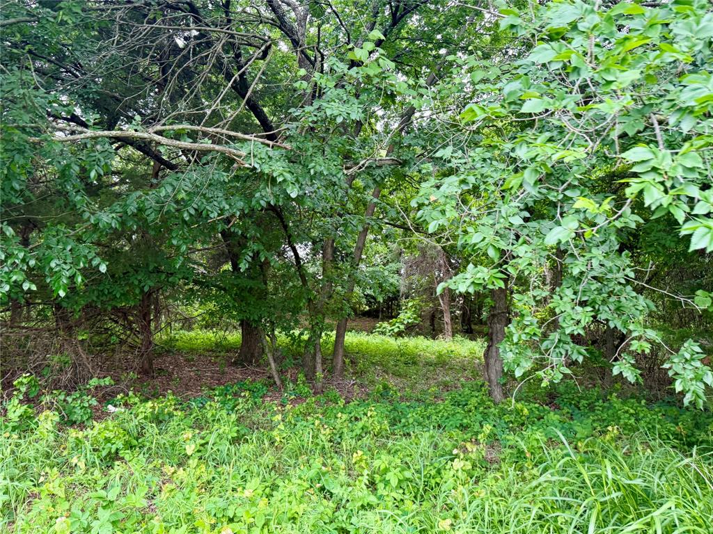 261 Catholic Cemetery Road Montague, TX 76251 - Photo 28 of 39 a view of a green field with lots of bushes
