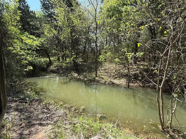 a view of a street with a yard