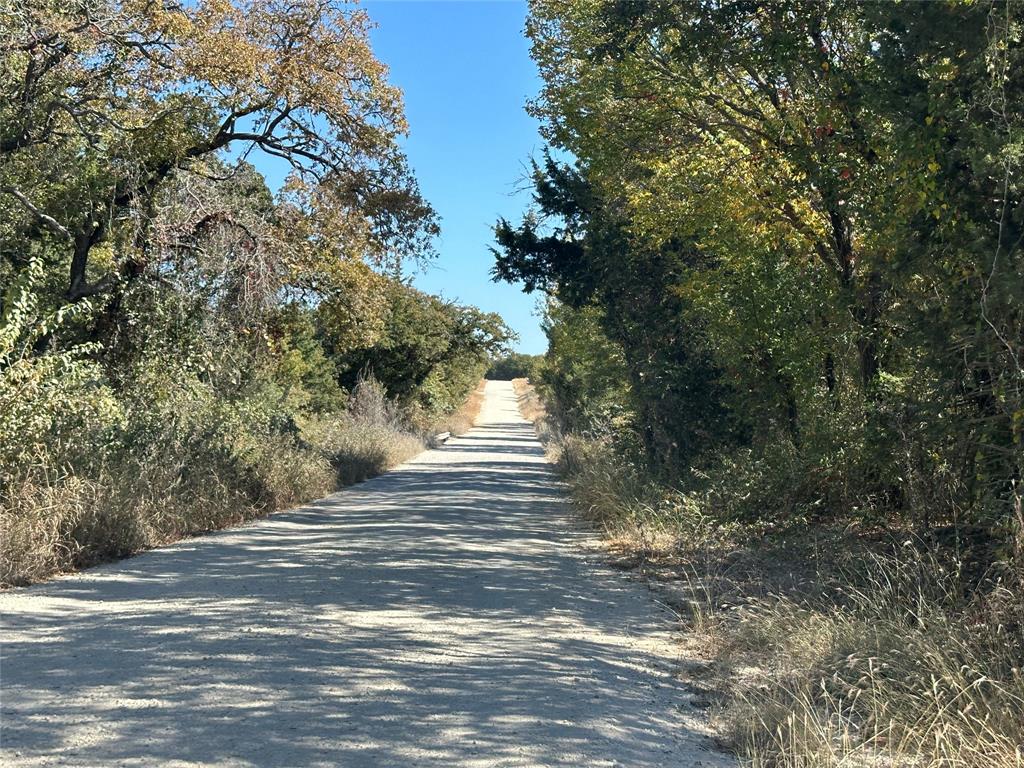 261 Catholic Cemetery Road Montague, TX 76251 - Photo 4 of 40 a view of a house with a tree