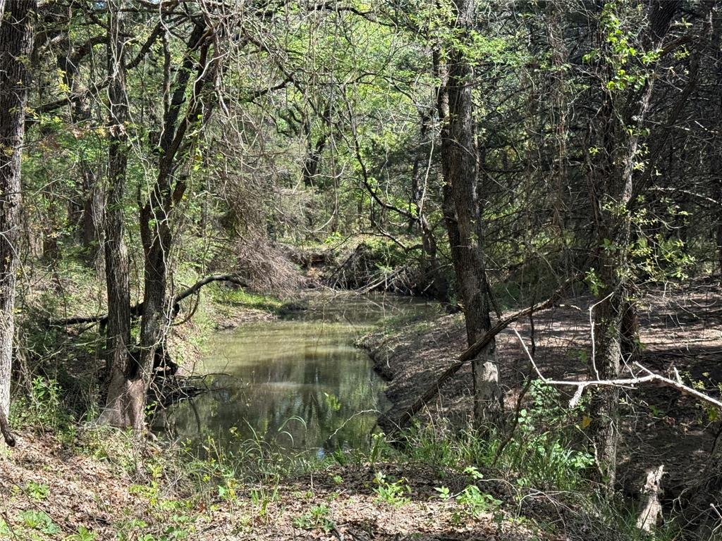 261 Catholic Cemetery Road Montague, TX 76251 - Photo 7 of 40 a view of river covered with trees
