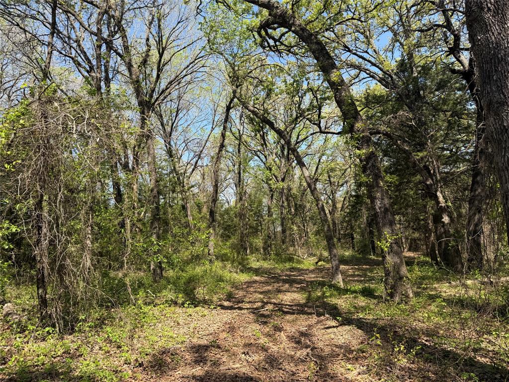 261 Catholic Cemetery Road Montague, TX 76251 - Photo 8 of 40 a view of outdoor space and a yard