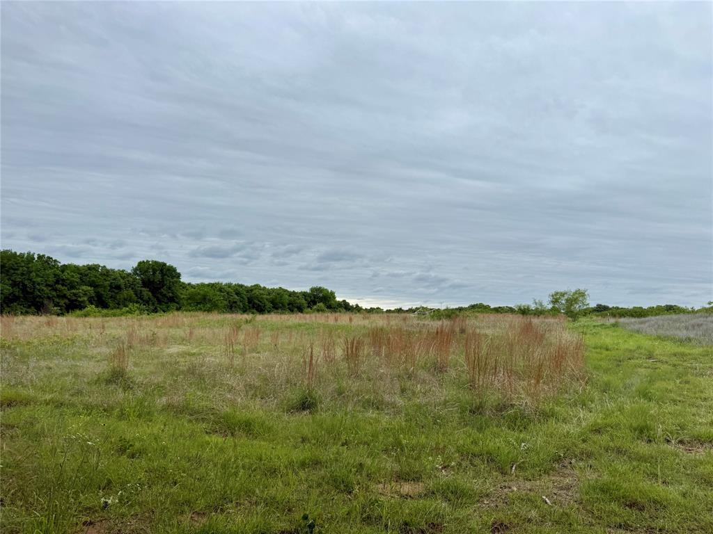 261 Catholic Cemetery Road Montague, TX 76251 - Photo 10 of 39
