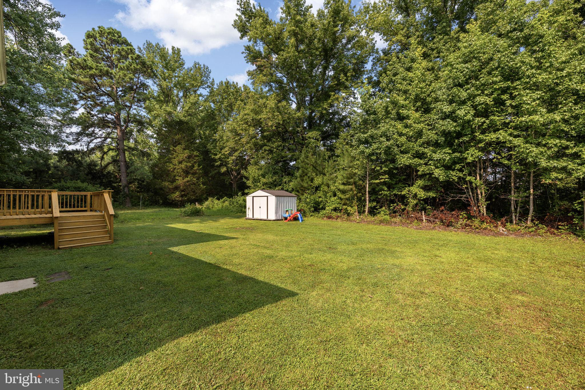77 Randall Road Colonial Beach, VA 22443 - Photo 12 of 44 Spacious yard with lush greenery.