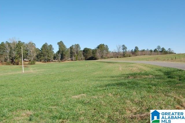 131 County Road, Unit 8 Roanoke, AL 36274 - Photo 4 of 6