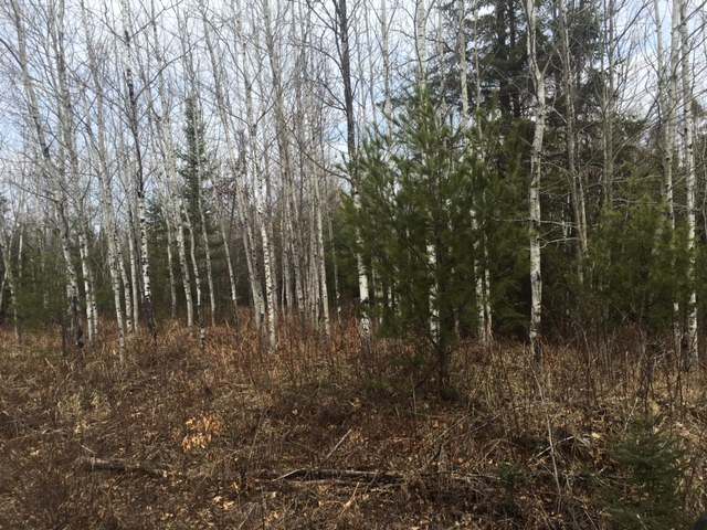Lot 11 Rivard Drive Rhinelander, WI 54501 - Photo 2 of 4 Gallery Image 2