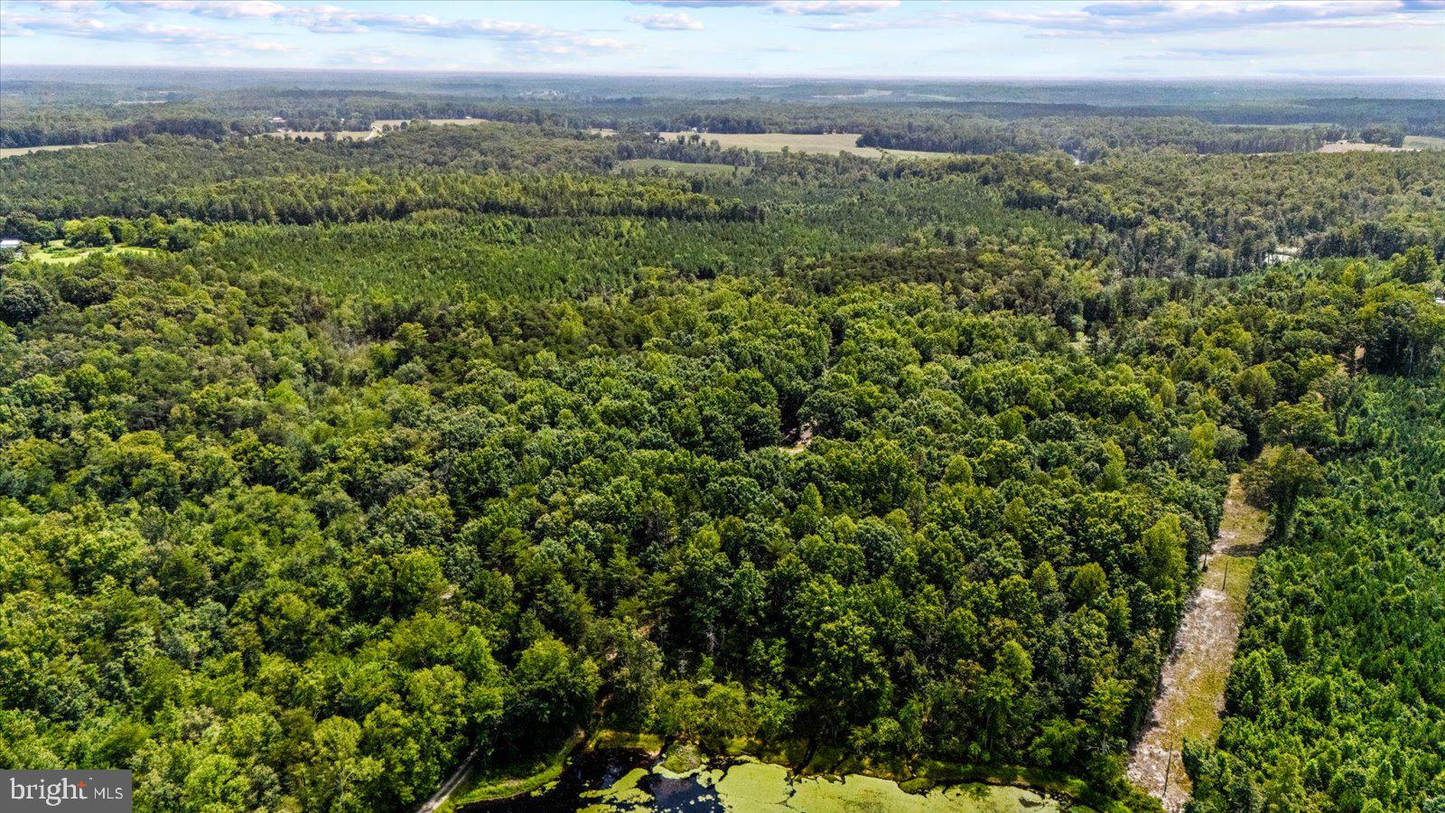 Pond Road Ruther Glen, VA 22546 - Photo 4 of 12 Gallery Image 4
