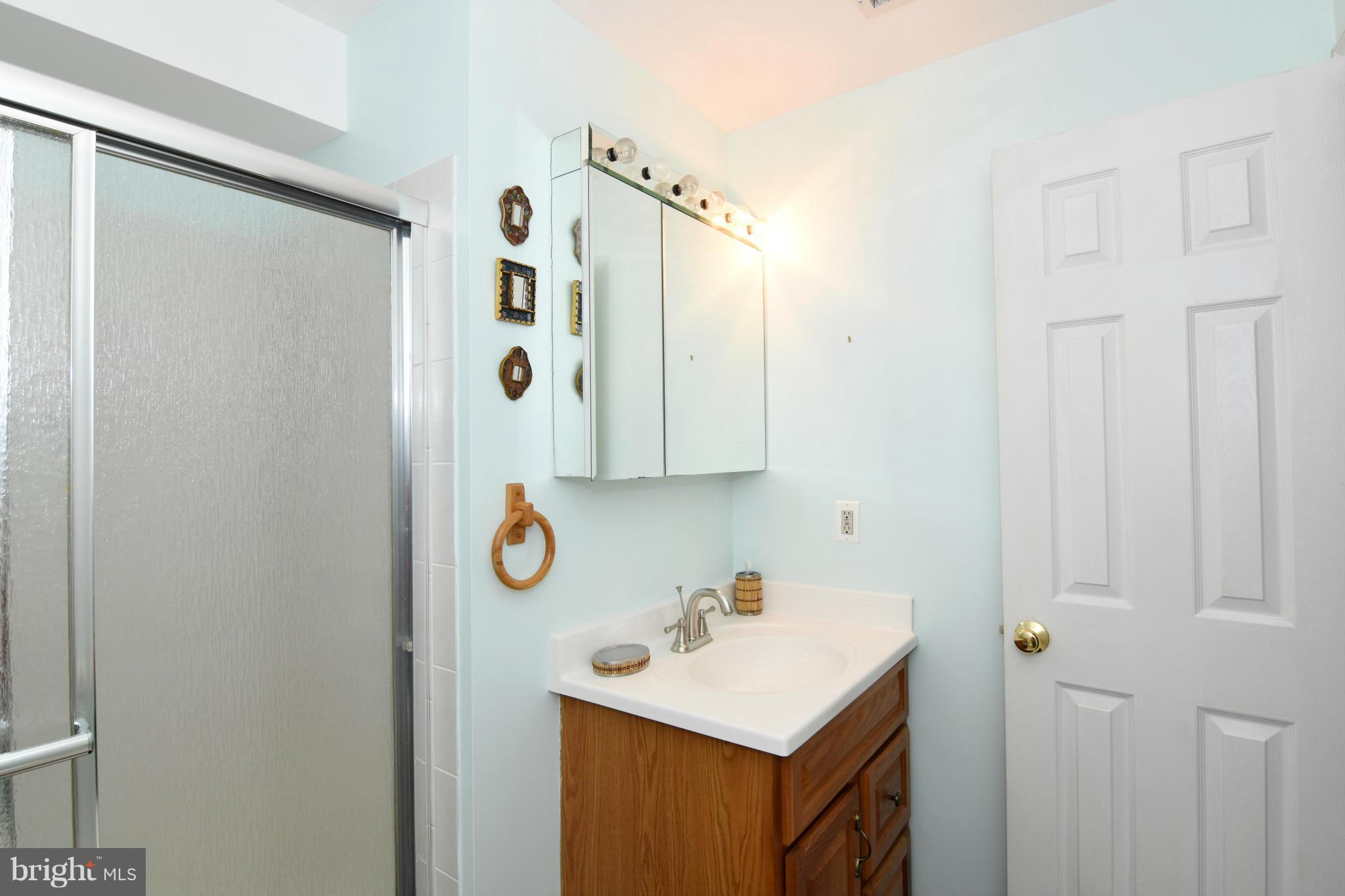 319 Lyric Lane Silver Spring, MD 20901 - Photo 26 of 28 Bath in Basement