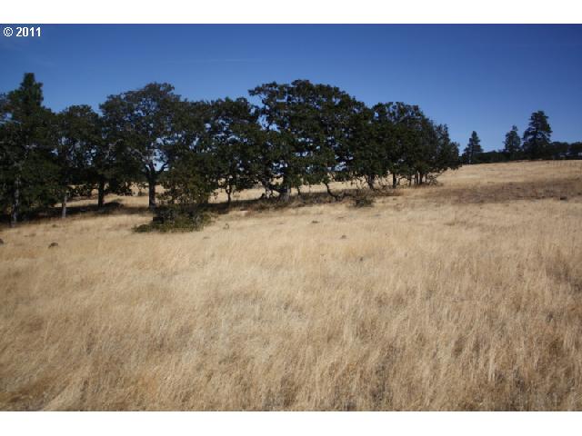 Ketchem Road Mosier, OR 97040 - Photo 2 of 12 Gallery Image 2