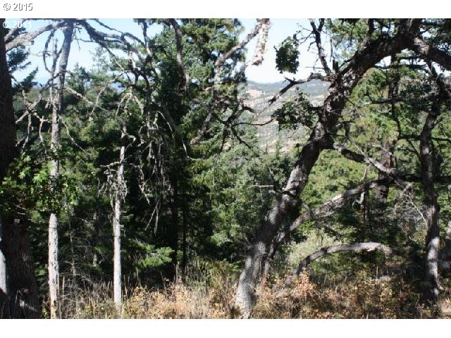 Ketchem Road Mosier, OR 97040 - Photo 11 of 12 Gallery Image 11