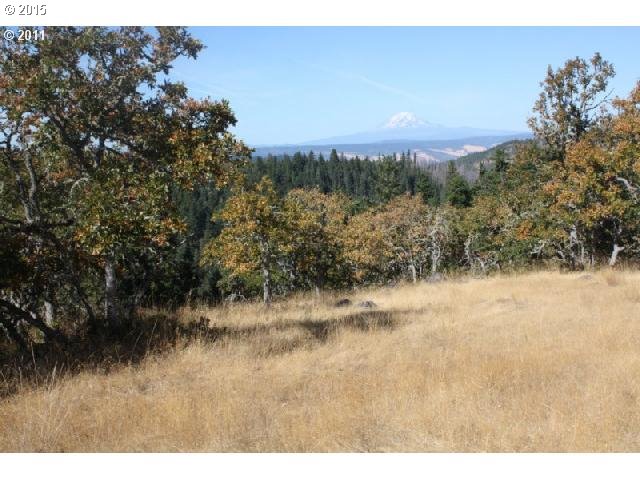 Ketchem Road Mosier, OR 97040 - Photo 12 of 12 Gallery Image 12