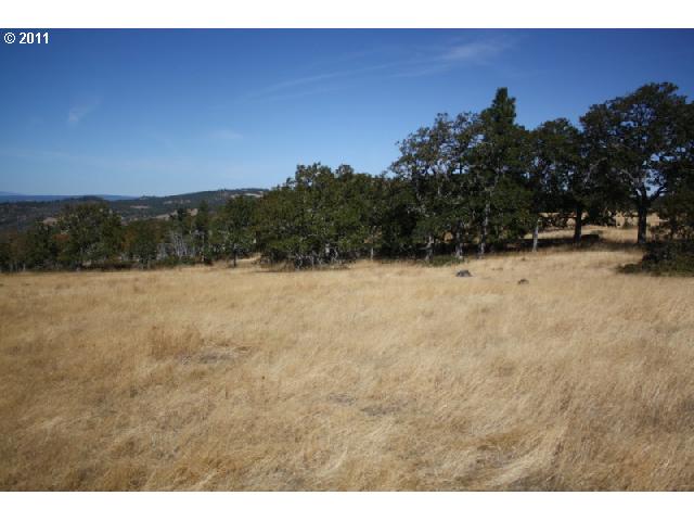 Ketchem Road Mosier, OR 97040 - Photo 3 of 12 Gallery Image 3