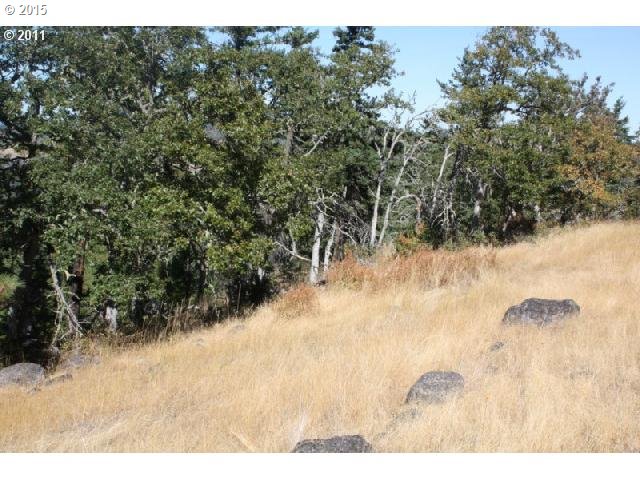 Ketchem Road Mosier, OR 97040 - Photo 9 of 12 Gallery Image 9